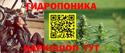 прущие грибы Жуковский
