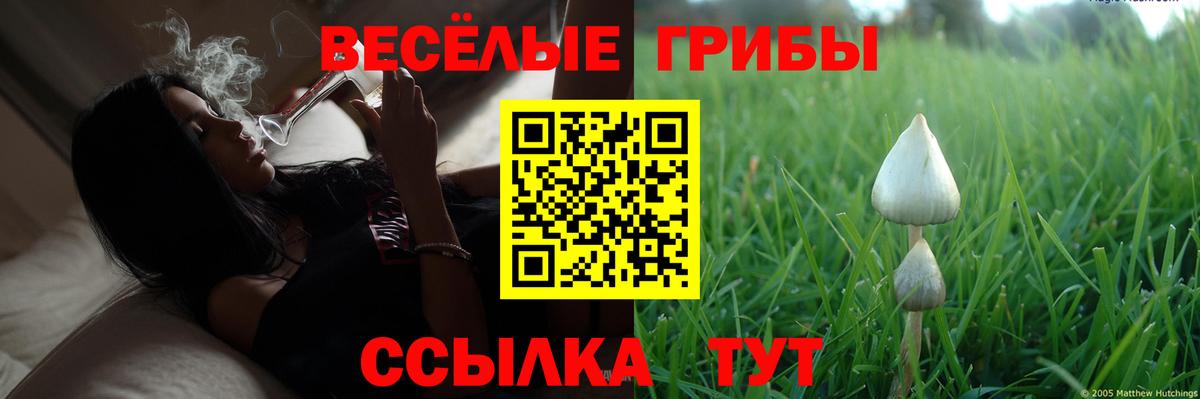 Псилоцибиновые грибы Magic Shrooms Ленинск-Кузнецкий